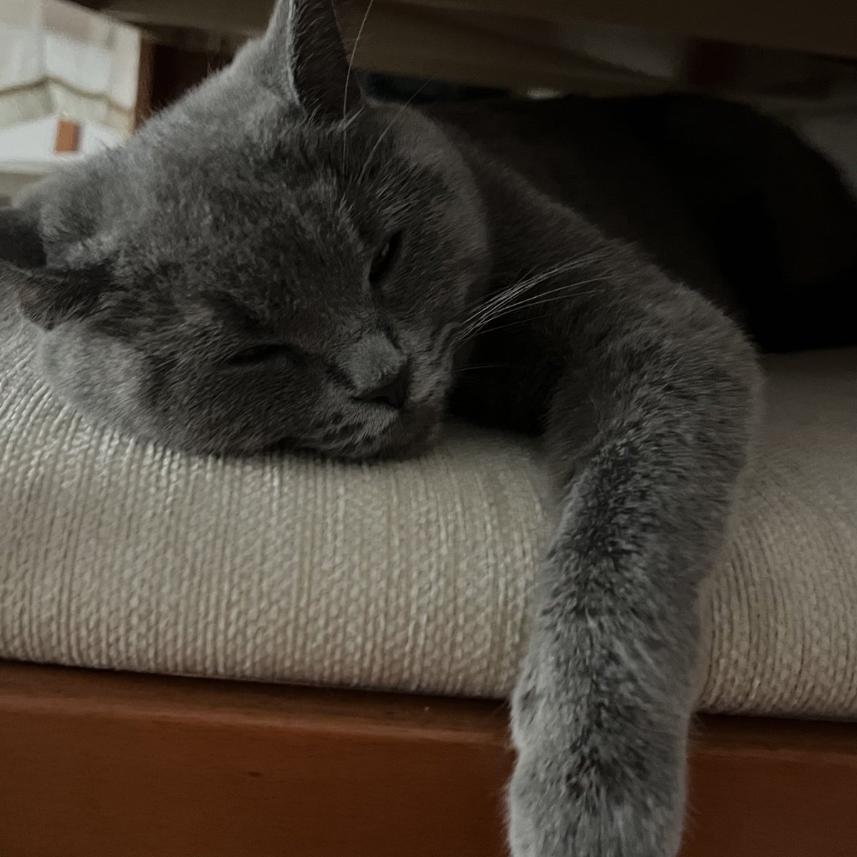 İkimizde sıcaktan bayılıyoruz