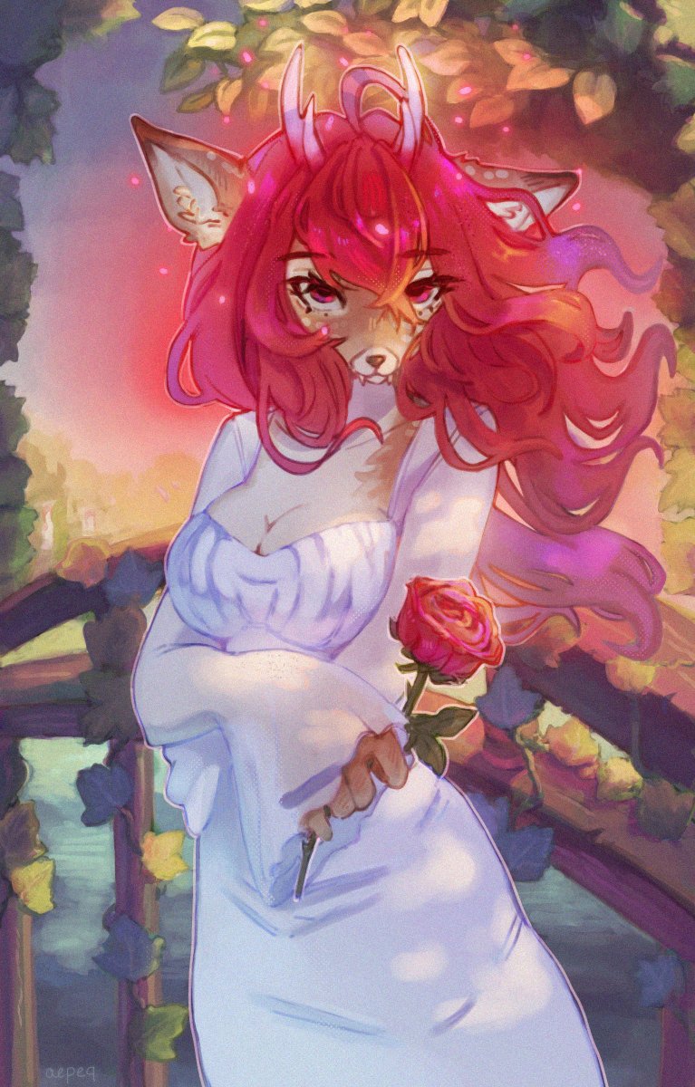 for <a href="/juanlillorojas/">Juan Lillo R.</a> :3