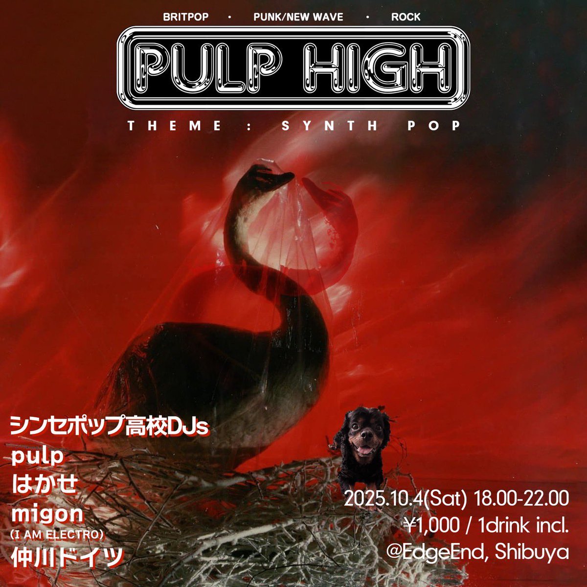 ★イベント告知★
『PULP HIGH』
[テーマ：シンセポップ]

10月4日（土）
<a href="/edgeend_info/">DJ BAR EDGEEND</a> 
(18時〜22時・¥1,000/1drink込)  

 [シンセポップ高校](A-Z)
 pulp 
はかせ 
migon(I AM ELECTRO) 
仲川ドイツ 10/4(土)

まだちょい先ですが、シンセポップファンはチェックしておいてくださいね。