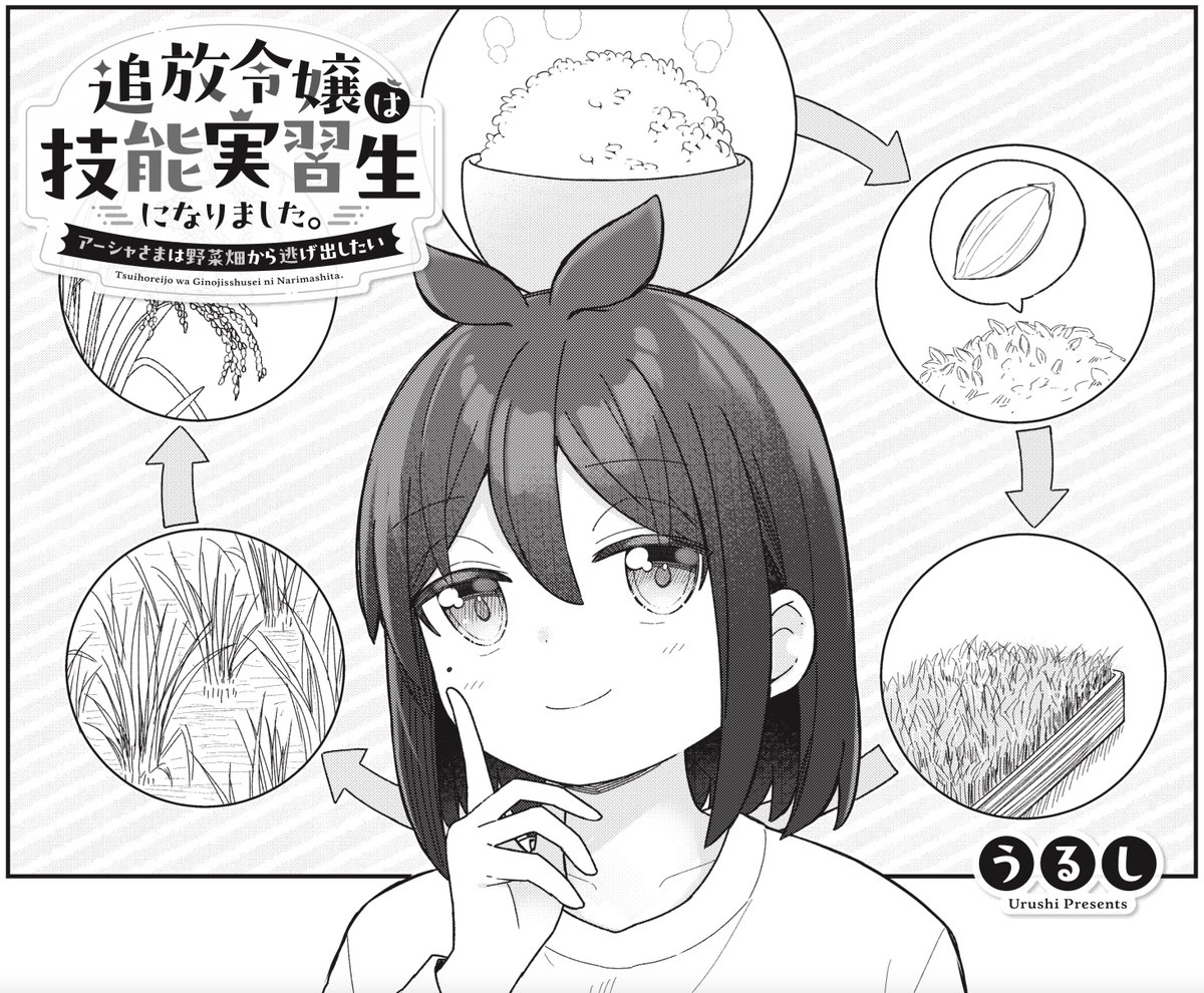 追放令嬢は技能実習生になりました。 1 イラストサイン本 Amazon.co.jp