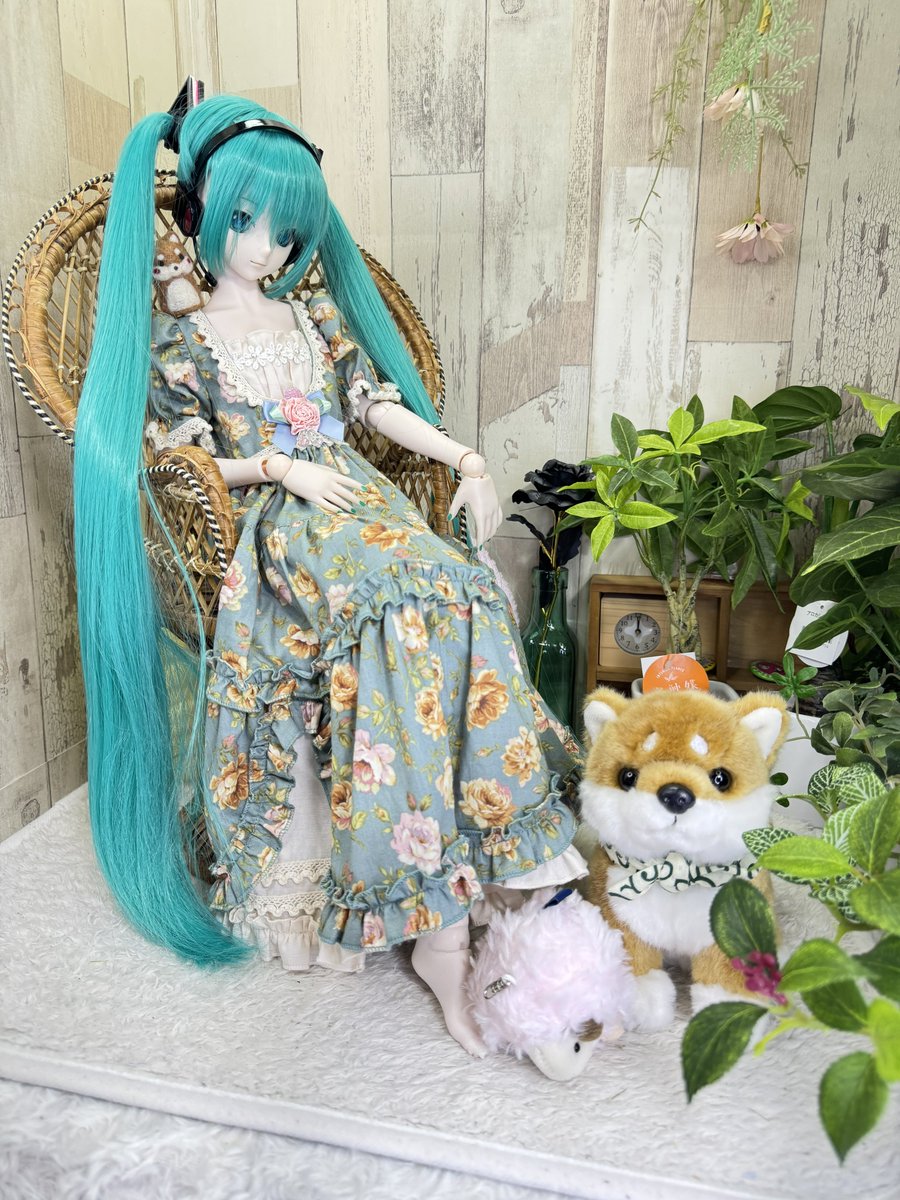 (๑و•̀ω•́)و｛今夜のお題は、観察。
「観察というか、凝視」
「わ…わぅ？」
#DD初音ミク
#深夜の初音ミク撮影60分一本勝負