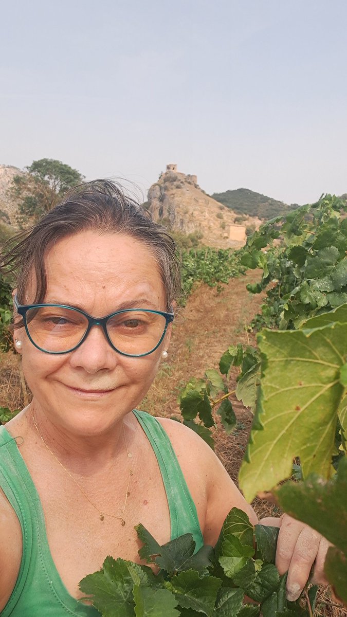 juditsogassanch's tweet image. Avui toka vinya!
Akompanyament!!
Es un privilegi!!!

#Rubiodesols #vinya #organica #organic #vineyard #Montsec #enologa #Viticultora @serradelmontsec @francesccanosa @Enolo @revistaenologos