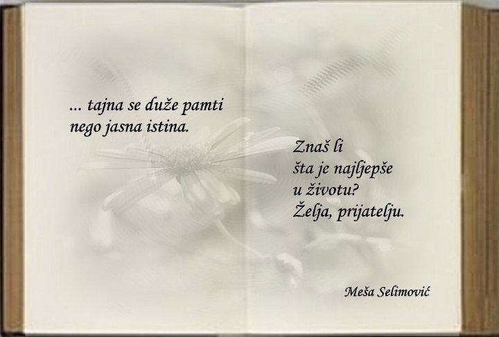 Kultura u najavi (@knajavi) on Twitter photo 