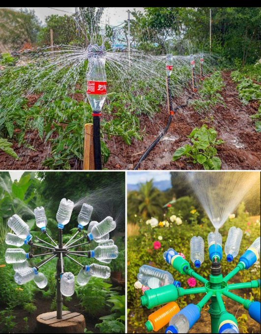 #Sustainability 
Living sustainably &amp; contributing to the fight against climate change requires conscious efforts. By pricking holes in bottles  &amp; placing them strategically, you can create a solution that efficiently waters your plants reducing water waste &amp; embracing creativity