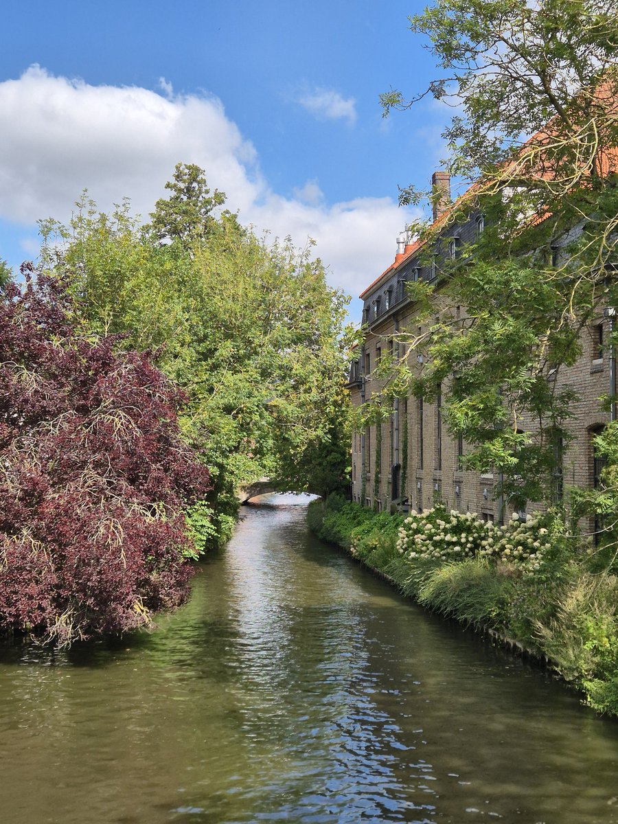 RickyDW88's tweet image. 🇧🇪 A great little weekend getaway to #Bruges 
A lovely place with lots of history, great food and drinks! 🍻 🥰 #Belgium