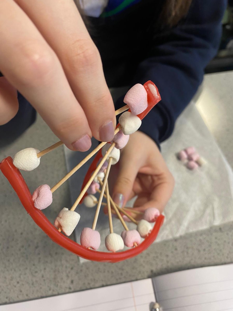 ScienceHGS tweet media