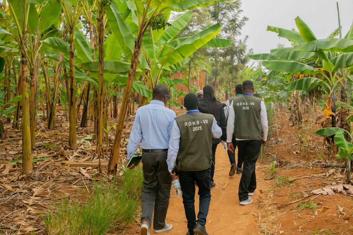 UKWELITIMES's tweet photo. 🛑UPDATES: The National Institute of Statistics of Rwanda (NISR) has started collecting data as part of the Rwanda Demographic and Health Survey (#RDHS7), capturing insights on the country’s progress in health and development. 

#RwandaStats #Health #Development #Survey

✍️@Uwayezu_Alodie