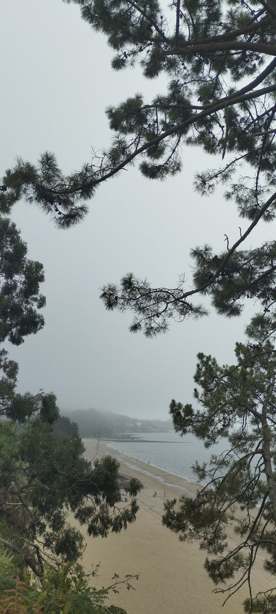 Naia (@naia__earth) on Twitter photo 