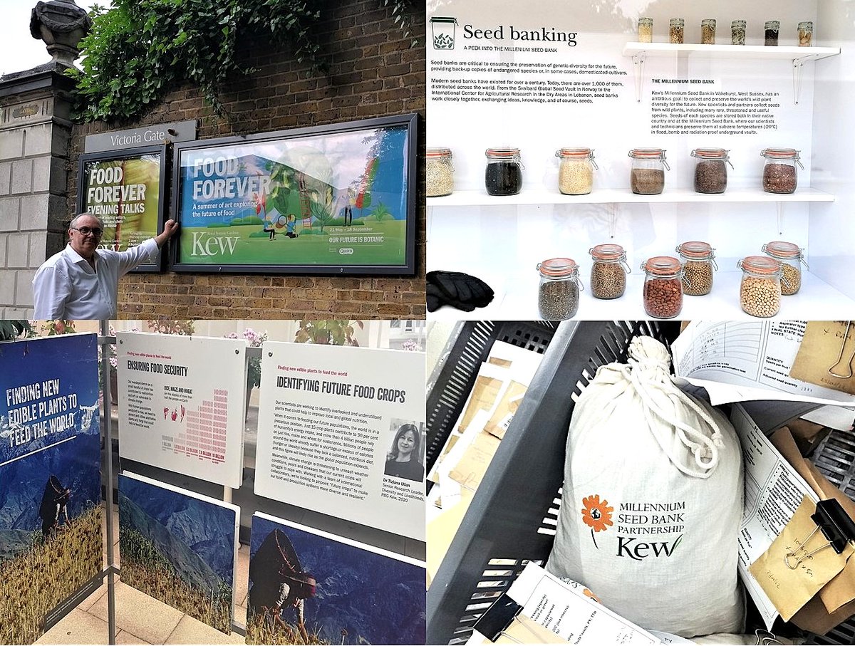 CzemborH's tweet photo. 🧬🔬🧩👨🌾📈💚🍞
#agrobiodiversity for #agriculture
➡️Royal #Kew Gardens UK
👉Food Forever💚
#AKIS ➡️Study visit - AGROBANK Project
➡️ #agrobank #NCBR #gospostrateg
#CDR #IHAR #PCSS #MRiRW
➡️ #FoodSecurity #biodiversity #genebank #biotechnology #BigData #AgData
➡️ #plantbreeding https://t.co/Ps7AuWtikG