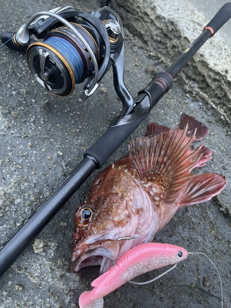 ハードロッカーSS❗新品未使用❗ ハードロッカーss - Search / X