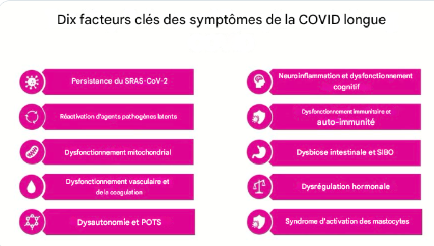 TRAD
10 facteurs clés des symptômes Long COVID 
<a href="/PutrinoLab/">Putrino Lab</a>
-Persistance du SRAS-CoV-2
-Réactivation des pathogènes latents
-Dysfonctionnement mitochondrial
-Dysfonctionnement vasculaire et de la coagulation
-Dysautonomie et POTS
-Neuroinflammation+dysfonctionnement cognitif
1/2