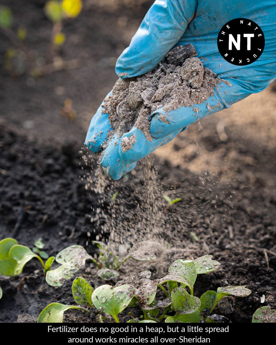 thenatetucker's tweet image. 📣 Spread love today; not hate ‼️

💁🏽‍♂️ Fertilizer does no good in a heap, but a little spread around works miracles all over-Sheridan 🔥🔥🔥🔥

#BeKind #LoveOneAnother #kindnessmatters
#motivationaldaily #Motivation #motivationalquotes