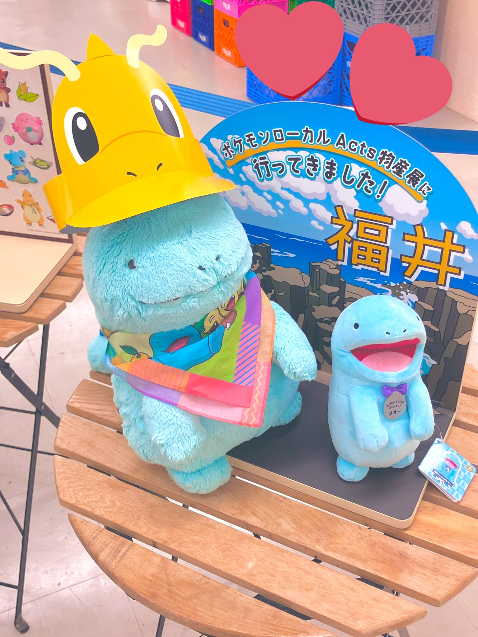 ポケモンローカル Acts 物産展 ヌオー カイリュー 他 福井 ぬいぐるみ GvOD43DXsAAckoQ.jpg