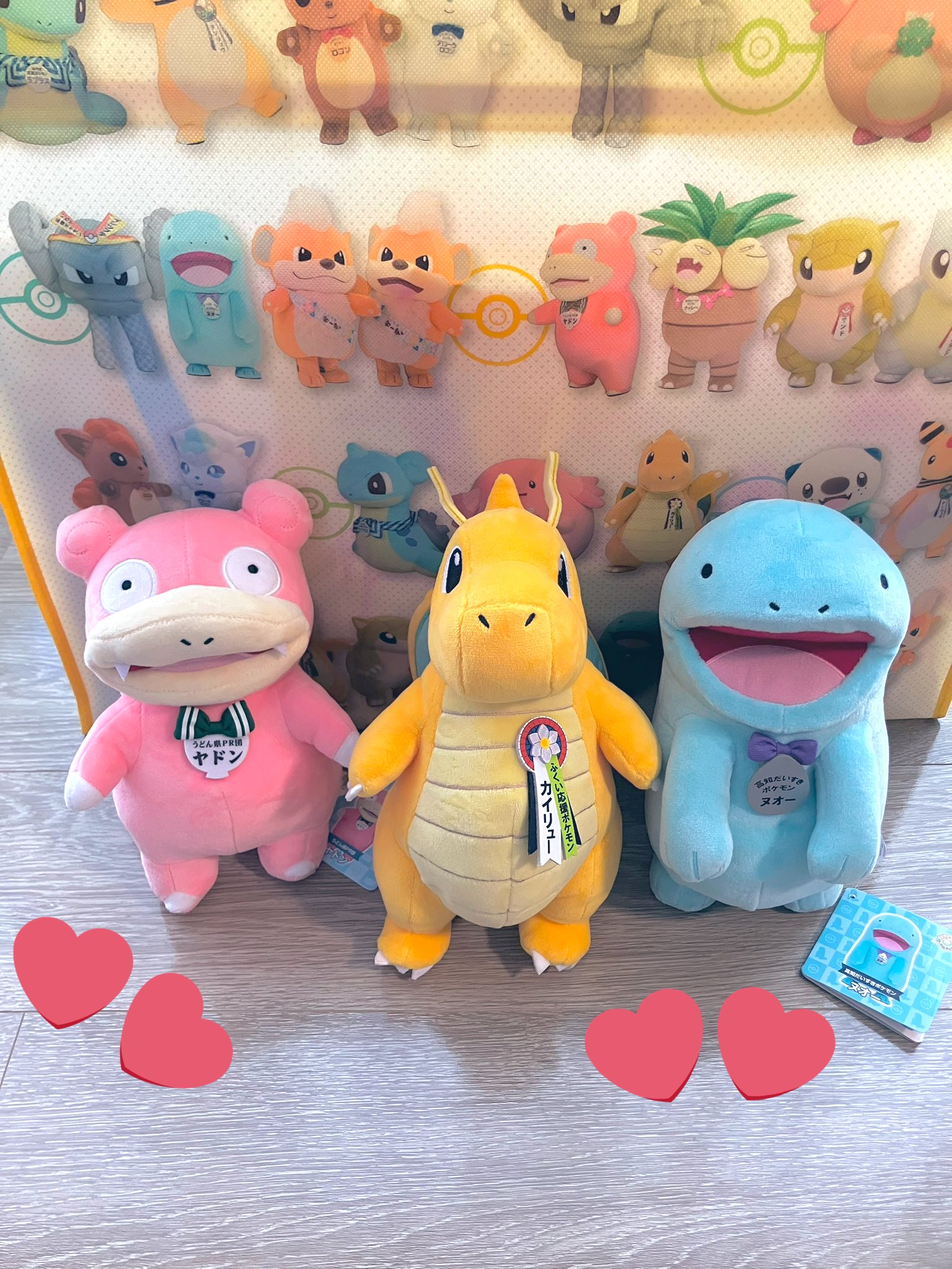 ポケモンローカル Acts 物産展 ヌオー カイリュー 他 福井 ぬいぐるみ コラボ商品｜ポケモンローカルActs - ポケモンだいすきクラブ