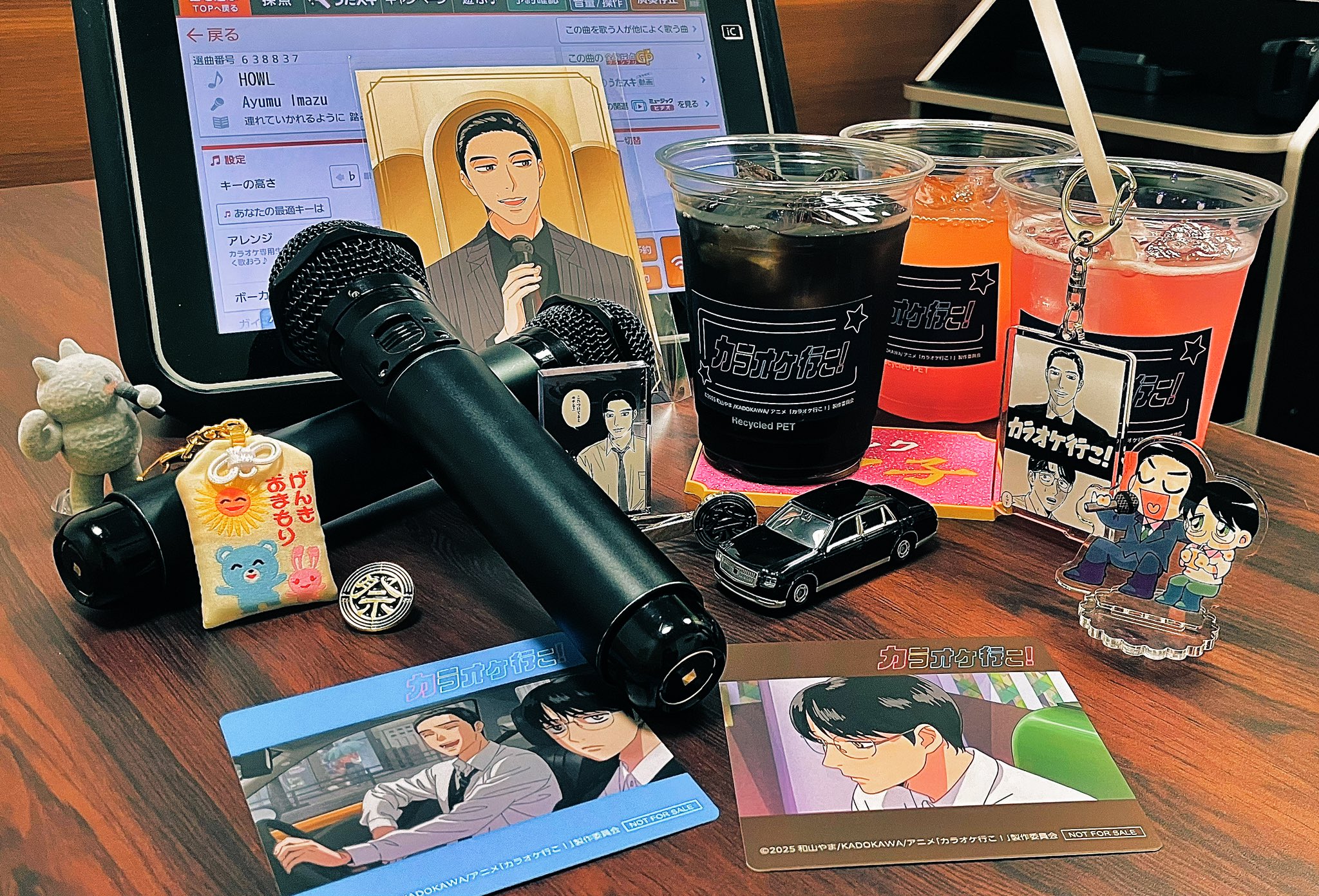 rinko様発送4日 RADIPASS TICKET