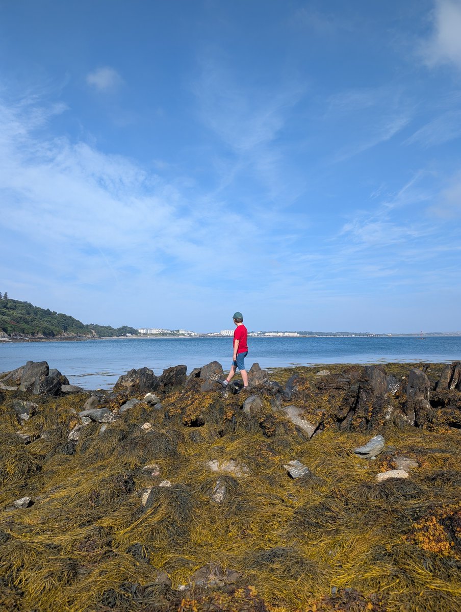 The EcoWeek Trust tweet media