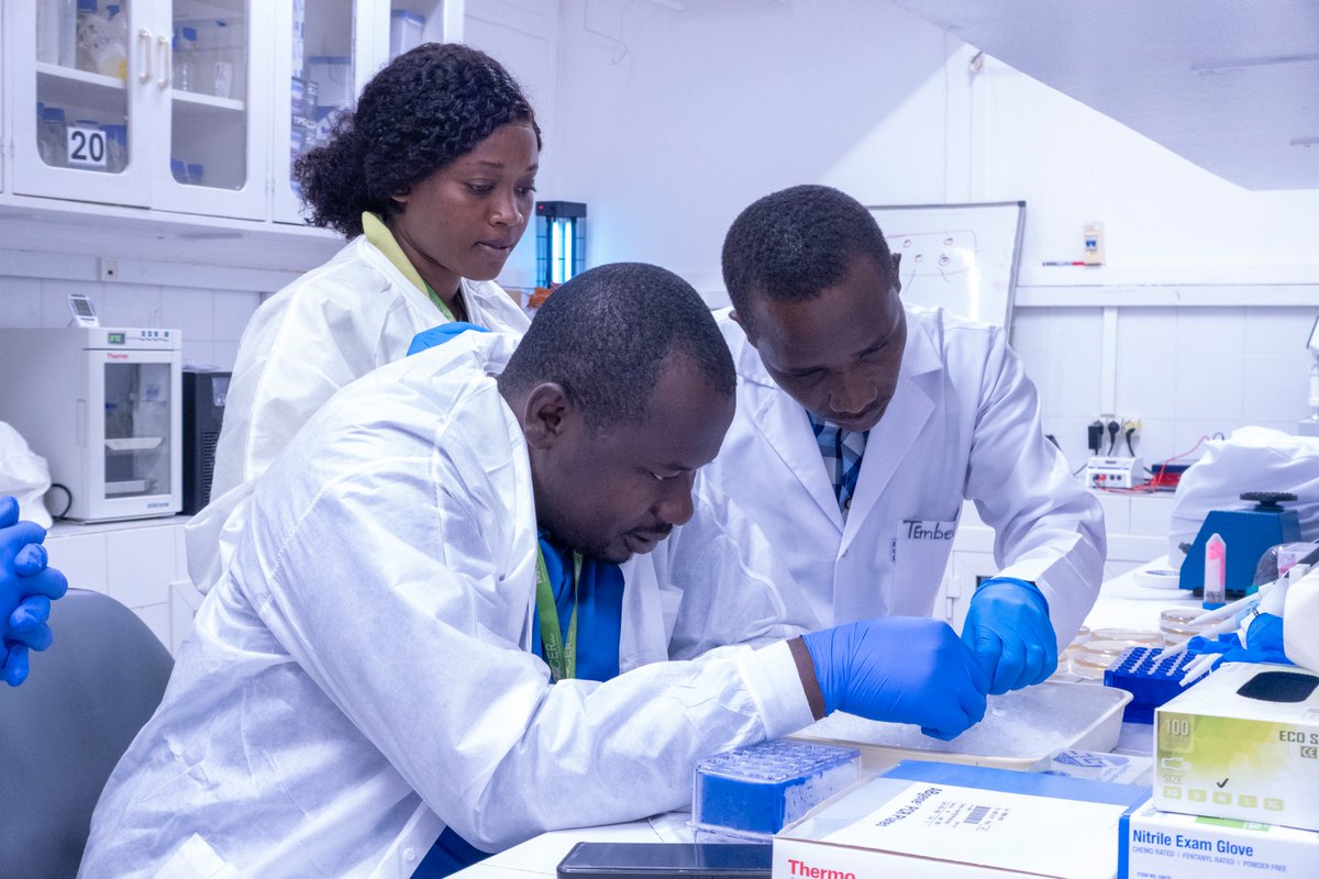 ACEME AFRICA tweet media