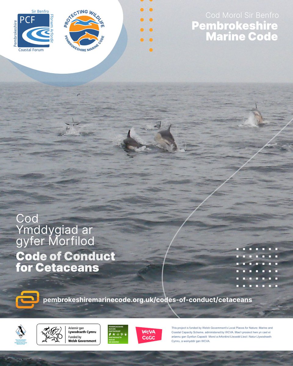 Know how to view wildlife. Respect minimum distances, steady speed, and signs of stress. Following the Code helps protect dolphins, porpoise and whales – and gives you better encounters.
🔗 pembrokeshiremarinecode.org.uk/codes-of-condu…