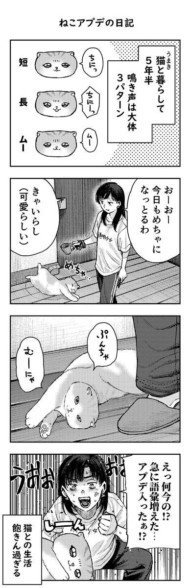 ねこアプデの日記です
うちの猫は割とおしゃべりです
皆さんのおうちはどうですか
プンチャ 