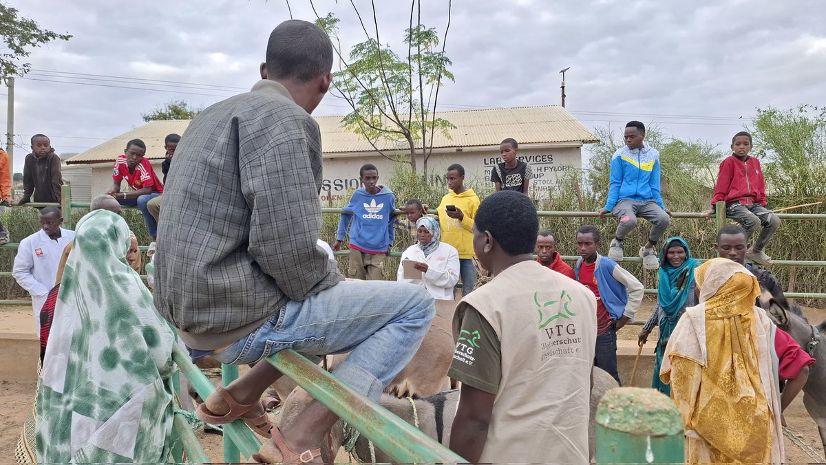 Africa Network for Animal Welfare tweet media