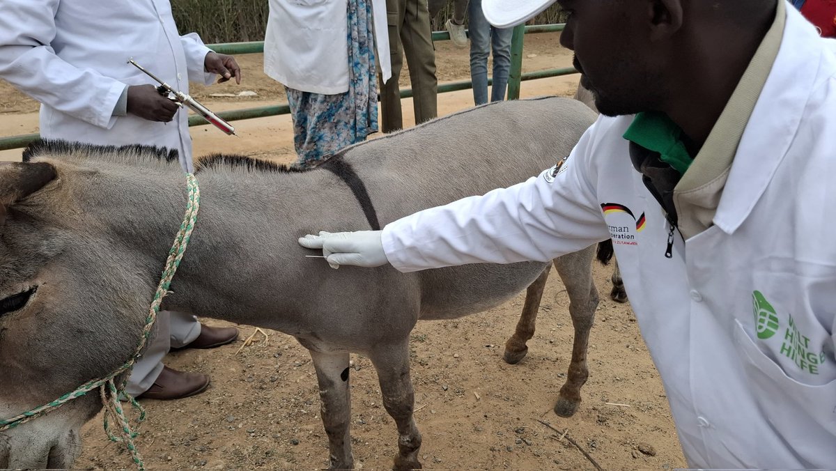 Africa Network for Animal Welfare tweet media