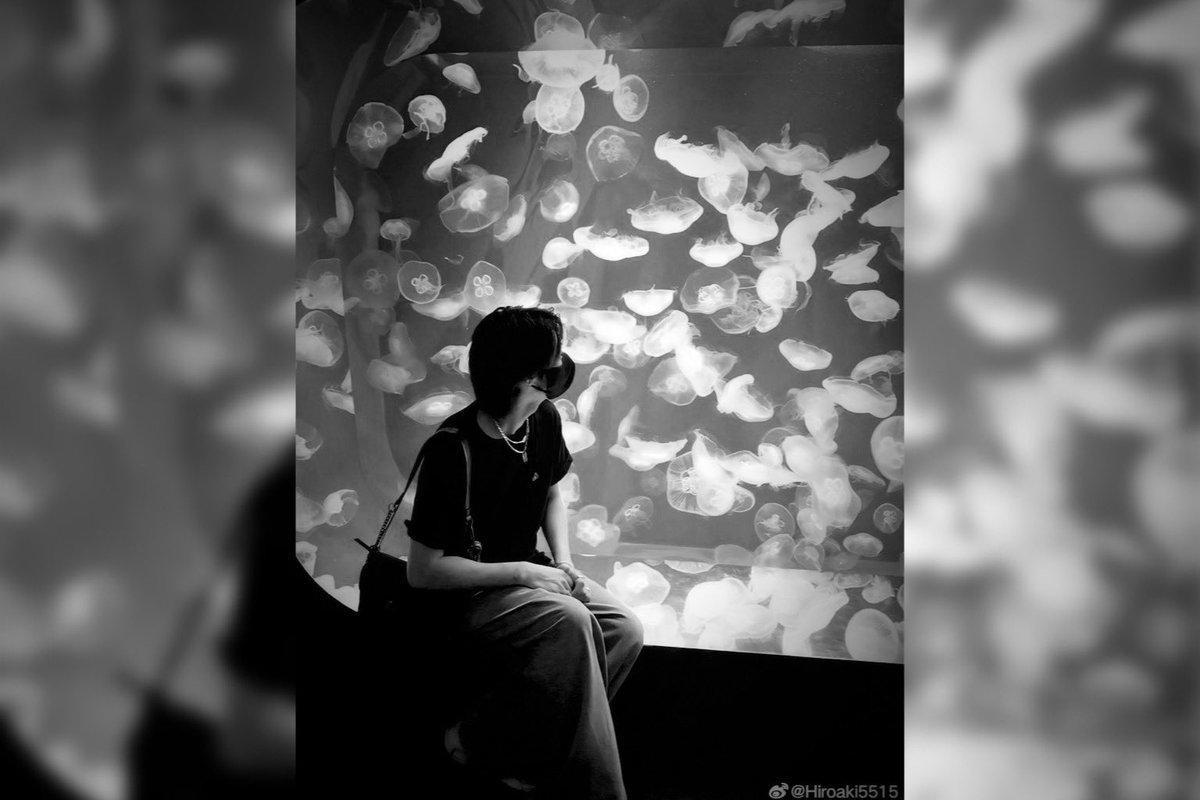 俺の可愛い会社員りょうちゃんと水族館デート🩷20:53Part③last

15:33
🐱凄い、見て？( ᵒ̴̶̷̤ᗝᵒ̴̶̷̤ )こんな（大きい）
🐻️お、可愛い
🐱2万5000円は要らん(´❛-❛`)
🐻️高っ
🐱ふふふ♡
🐻️高すぎやろっ
🐱可愛いねぇ～♡
🐻️うん
🐱あ！コレ可愛い♡( ᵒ̴̶̷̤∀ᵒ̴̶̷̤ )
🐻️良いやんサメ