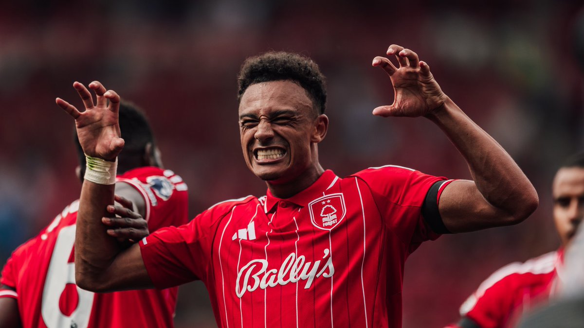 Callum Castel tweet media