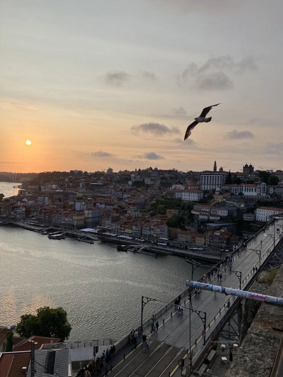 Bu ay Saat Farkı’nda en çok okunan yazılar 🧵

“Baktığın yerde İstanbul’u görmek” – Erdem Gümrükçü

saatfarki.org/2025/07/20/bak…