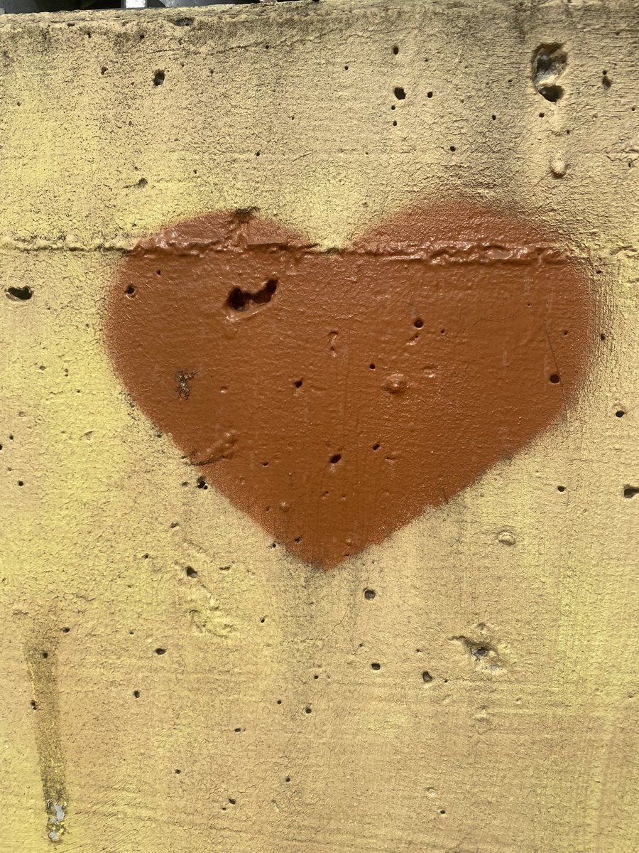 Sonia Zuccaro tweet media