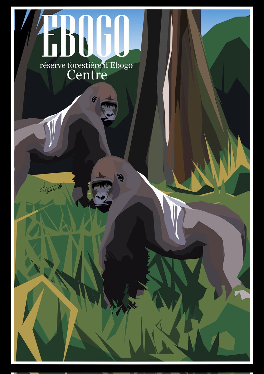 Cameroun affiche 
Saisir la subtilité de chaque lieux