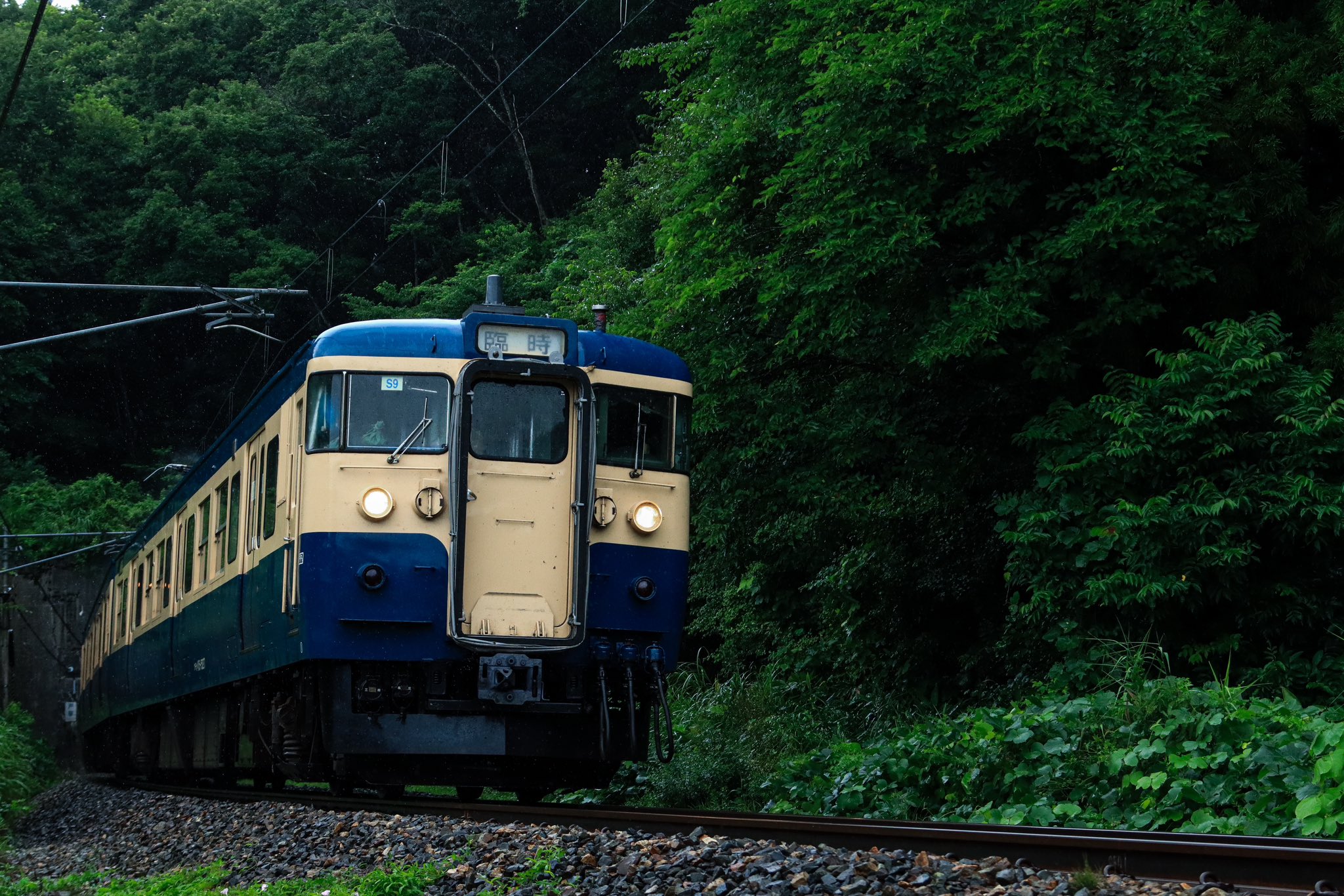 愛称板　おおぞら　おおとり　⭕️函 特急おおとり号◇データファイル | 列車データ館