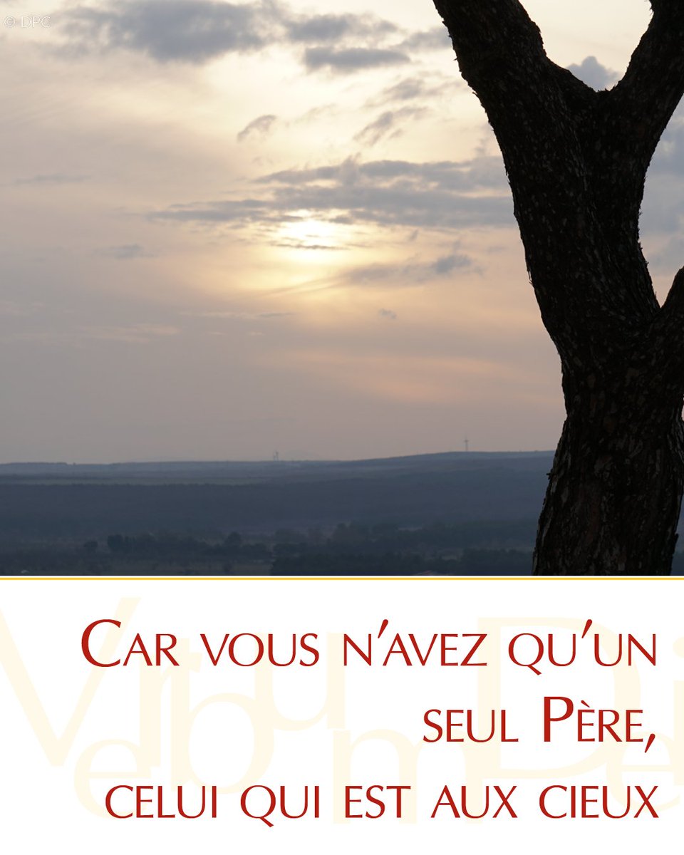📜 Évangile du jour | Samedi 23 août
(Mt 23, 1-12)

« Vous n’avez qu’un seul Père, celui qui est aux cieux. »  → urls.fr/VPnBi_