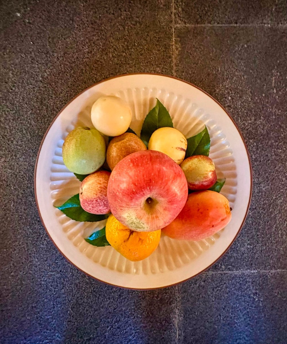 Once: a gesture that said you matter.
Now: an “arrival amenity” with a bill attached. The end of the free welcome in luxury hotels in our latest editorial. #LuxuryTravel #hospitality #gallivantersguide