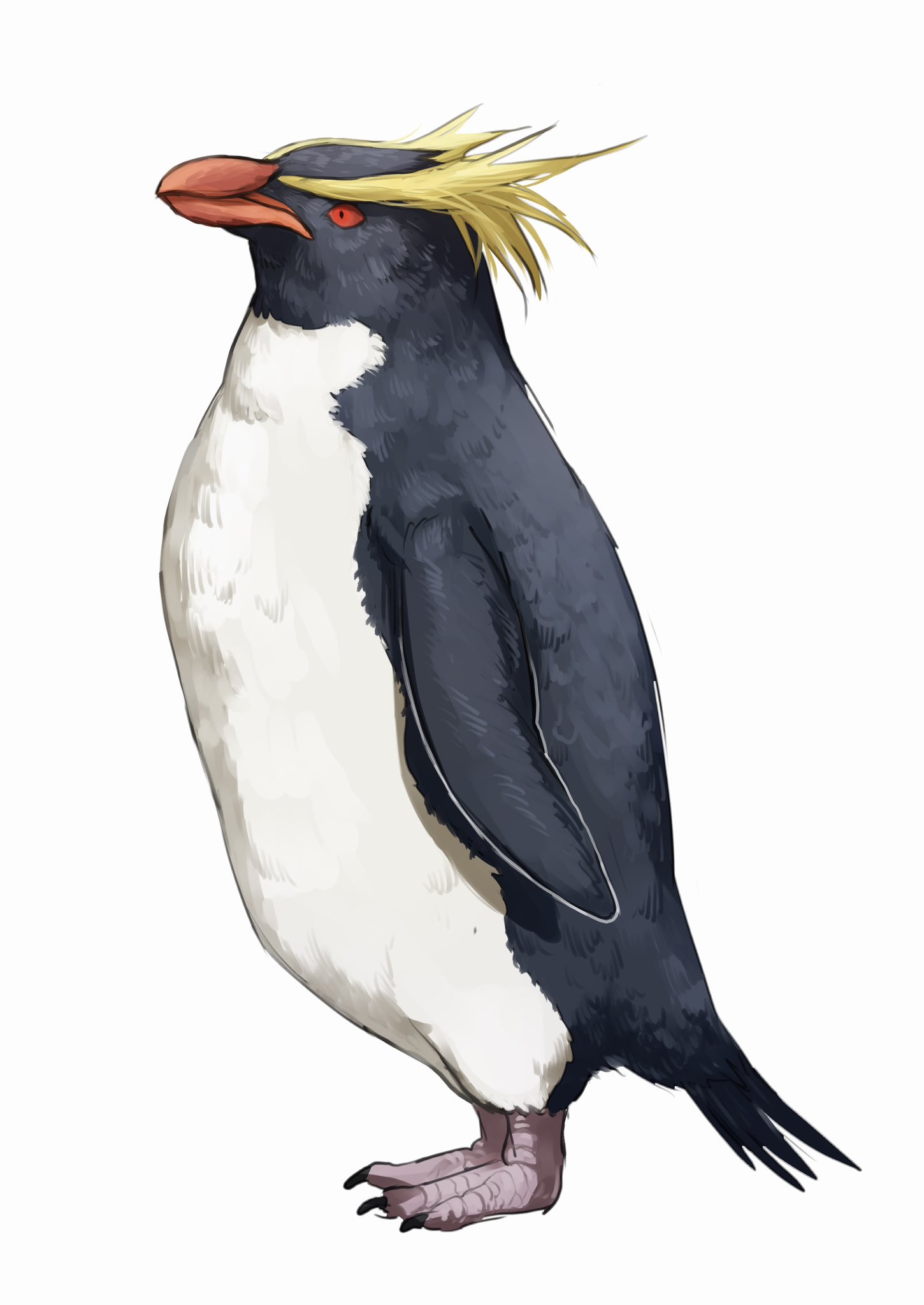 ⭐︎ペンギン⭐︎ AWABEES / ペンギン貯金箱