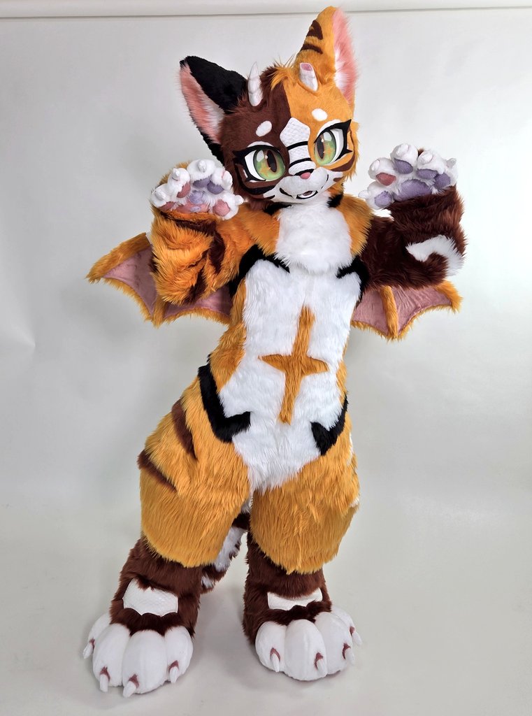 🐱 ✨️✨️✨️