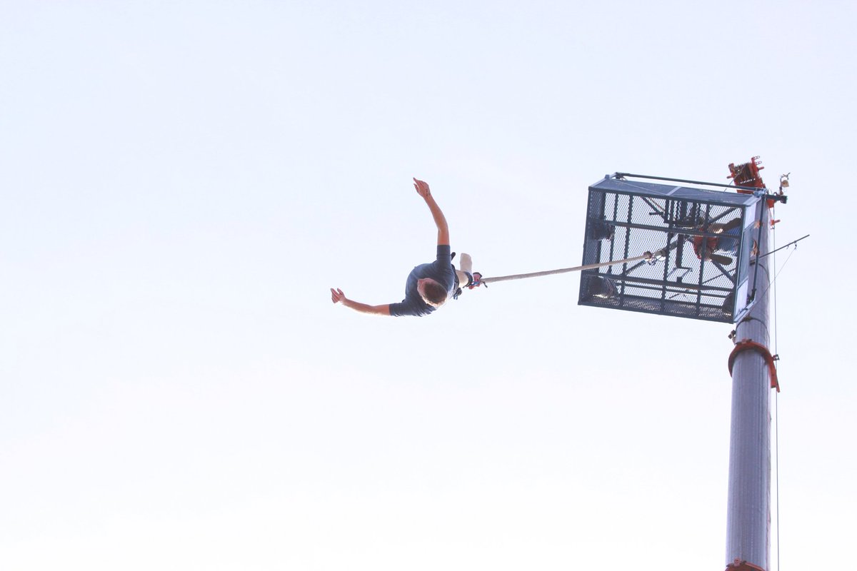 Walpole Dunn tweet media