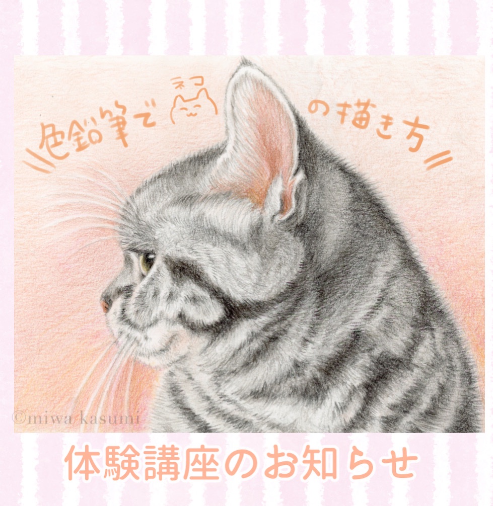 catportrait's tweet photo. 【体験講座のお知らせ】
8/24(日) 銀座伊東屋(G.Itoya)@Ginza_Itoya 様にて、
色鉛筆で猫を描く体験講座をさせていただきます！塗り絵形式なので初めての方でもお気軽にご参加ください😸(ご予約制)

※詳細とご予約は、伊東屋様の以下サイトからご予約をお願いします。
https://t.co/ekM3uZuMvF https://t.co/CHHbwFi7rO