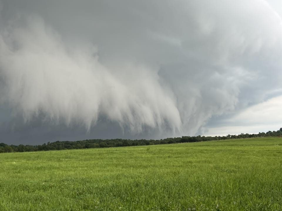 WOW! Look at this wicked-looking shelf cloud moving over the field ahead of a line of severe thunderstorms from Sunday evening. Thank you for sharing, Teresa Cramer! If you have any storm reports or photos from the storms today, feel free to share! Preston County, WV #WVwx #PAwx