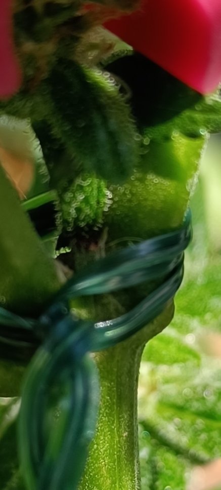 is broken 😞 will it get through?