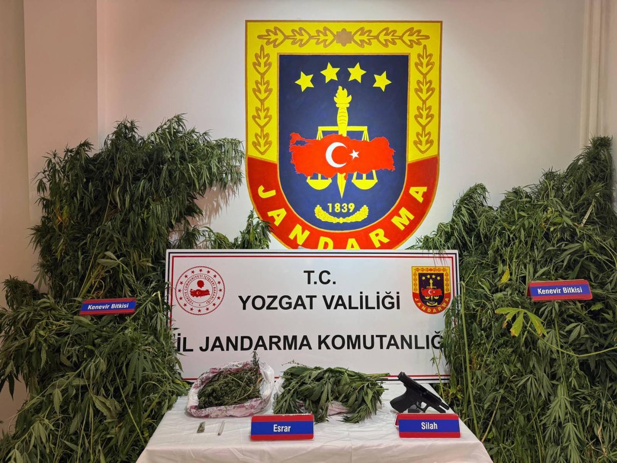 YozgatValiligi's tweet photo. ❌UYUŞTURUCUYA 
GEÇİT YOK❗️

🔺 Şefaatli İlçemizde İl Jandarma Komutanlığı ekplerimizce yapılan çalışma  sonucunda

▪️1135 kök  kenevir bitkisi
▪️Kubar Esrar maddesi 
▪️Ruhsatsız tabanca ve mermi

Ele Geçirilmiş,

⚠️Olayla ilgili 1Kişi Gözaltına Alınmıştı

#TürkiyeninHuzuru
#YozgatınHuzuru