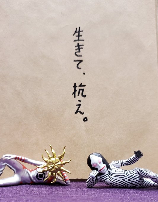 前回は一人2限で入荷したその日に完売、それっきりどこの店頭でも目にすることなかったから再版ありがたい。 