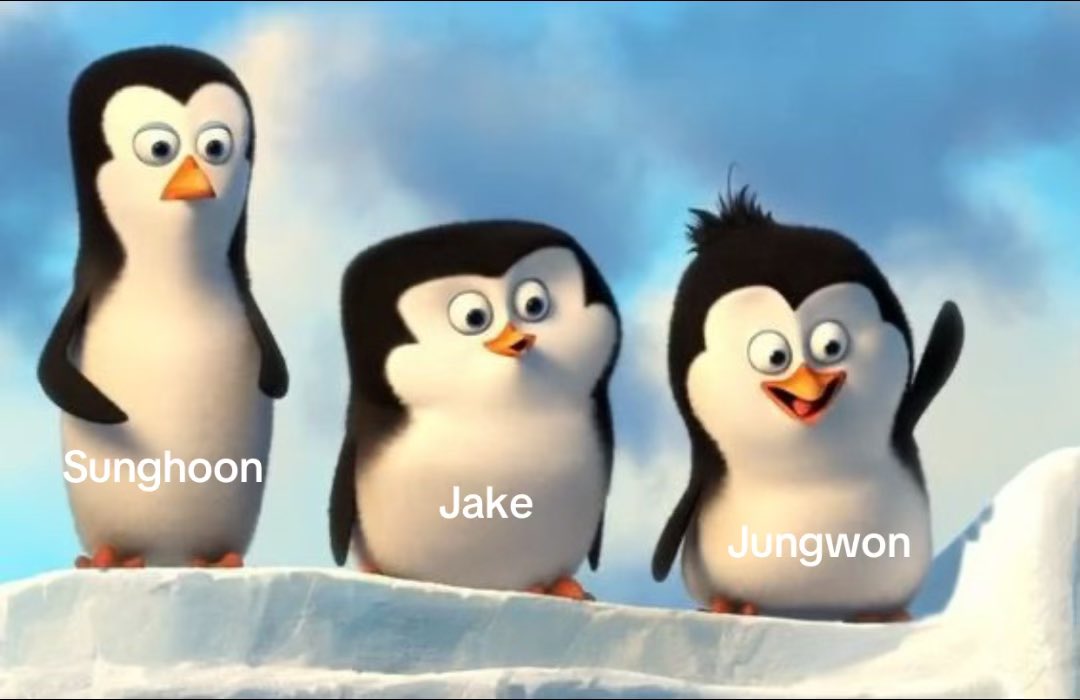 ซองฮุนบอกว่าที่เราสนิทกันเพราะชาติที่แล้วคงเป็นสัตว์ในสวนสัตว์เดียวกัน แล้วเจคบอกว่าเหมือนมาดากัสก้าร์งี้ป่ะ จองวอนบอก ใช่เลย แพนกวินในมาดากัสก้าร์ กูจะลาบูบู้ 5555555555555555555555555555555555555555555555555555555555555555555555