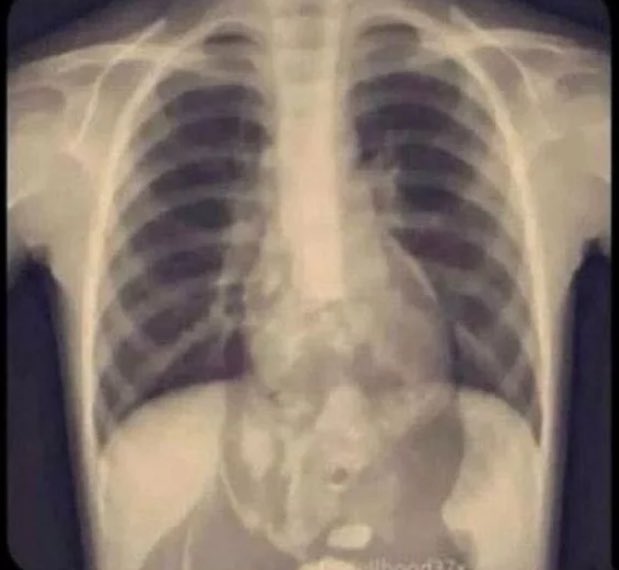 Nathaniel Sharke tweet media