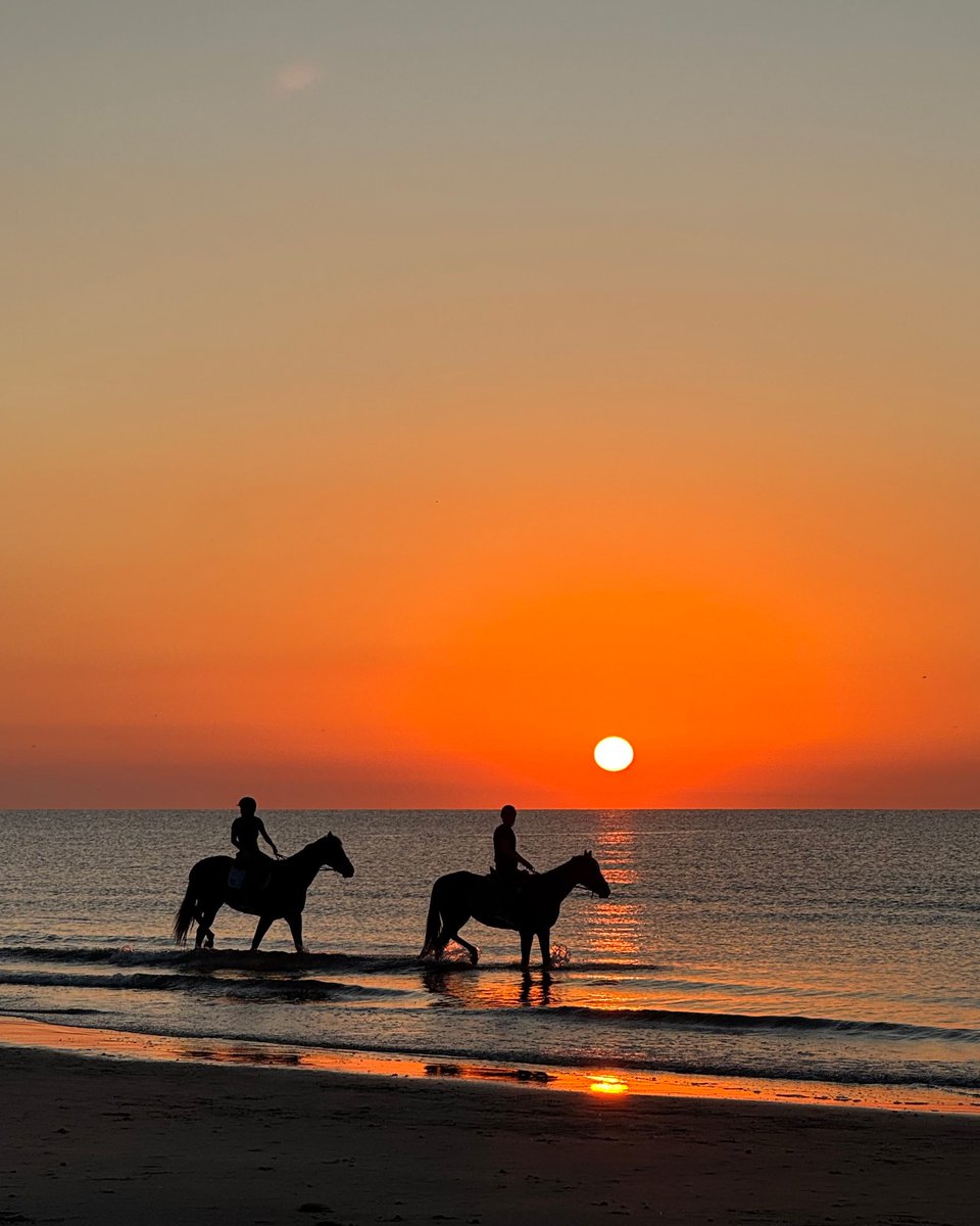 Un'alba spettacolare sulle spiagge di #Ravenna 🧡
#myRavenna