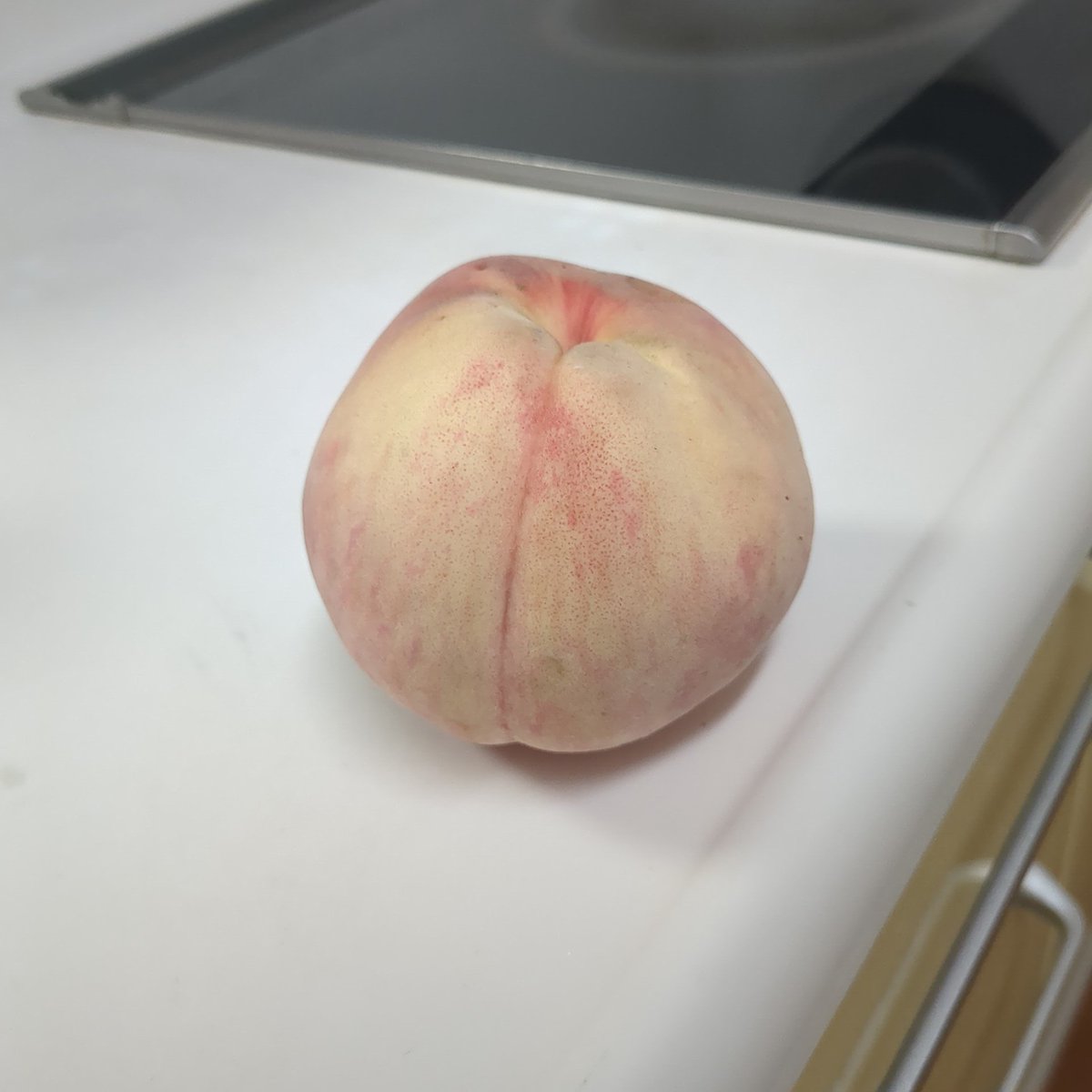 今夜はプリプリの桃にしゃぶりつく

親の愛に感謝
信濃の大地に感謝