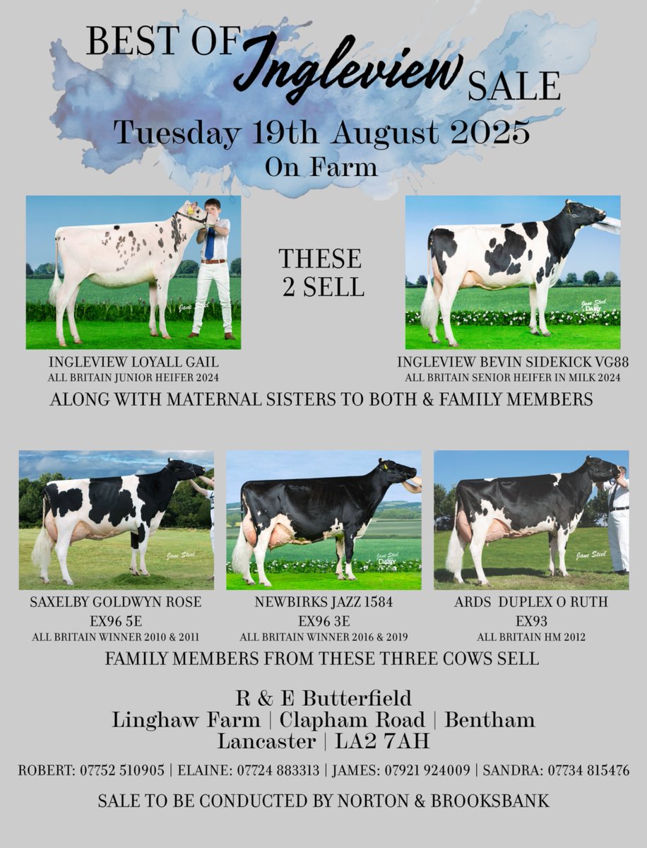 HolsteinUK's tweet image. Sponsored content as part of the Breeder Advertisement Package

Advertise your herd to over 4,000 breeders from as little as £95*. To advertise your herd in the Journal, contact felicitycoates@ukcows.com

*Prices start from £95