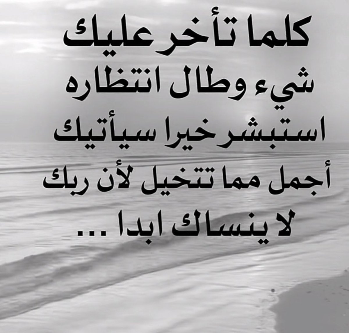 ZynbAlrfa's tweet image. 