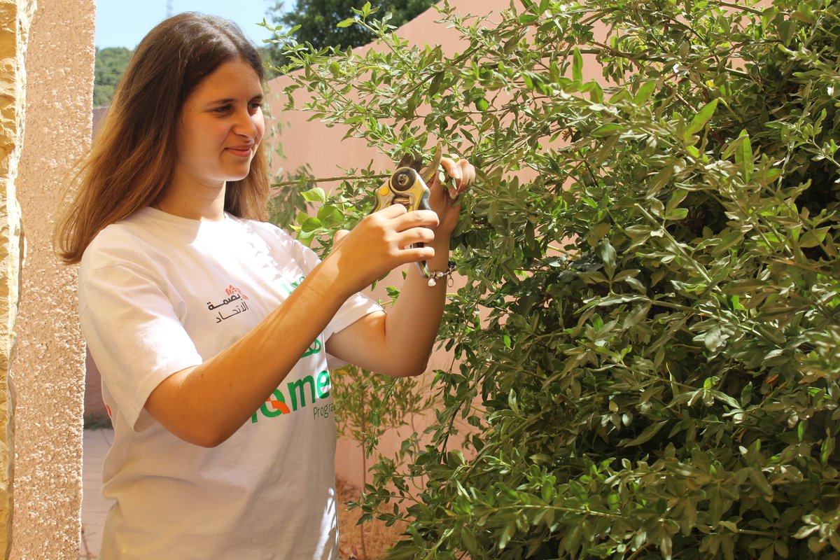 LOYAC Jordan tweet media