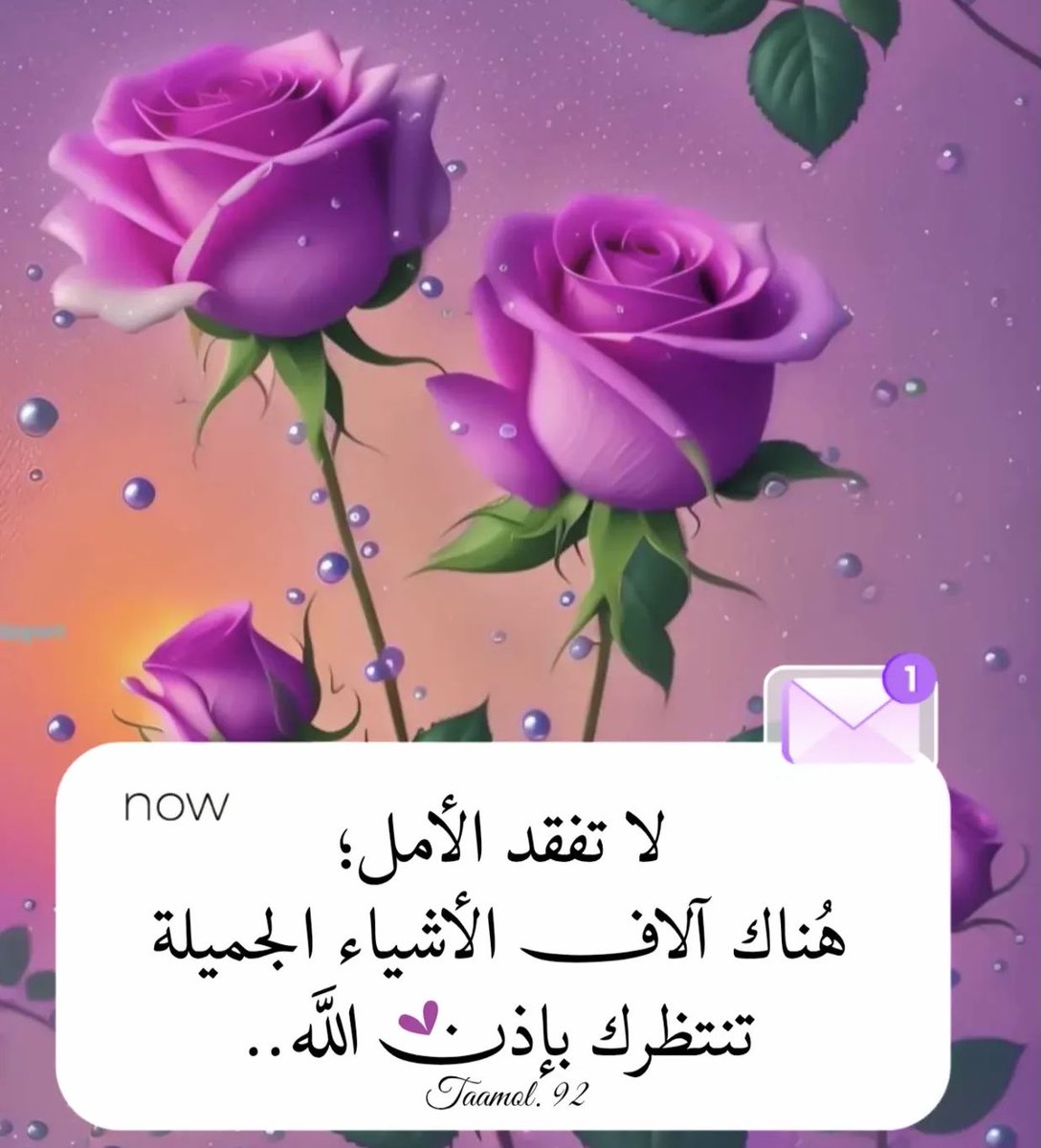 ZynbAlrfa's tweet image. 