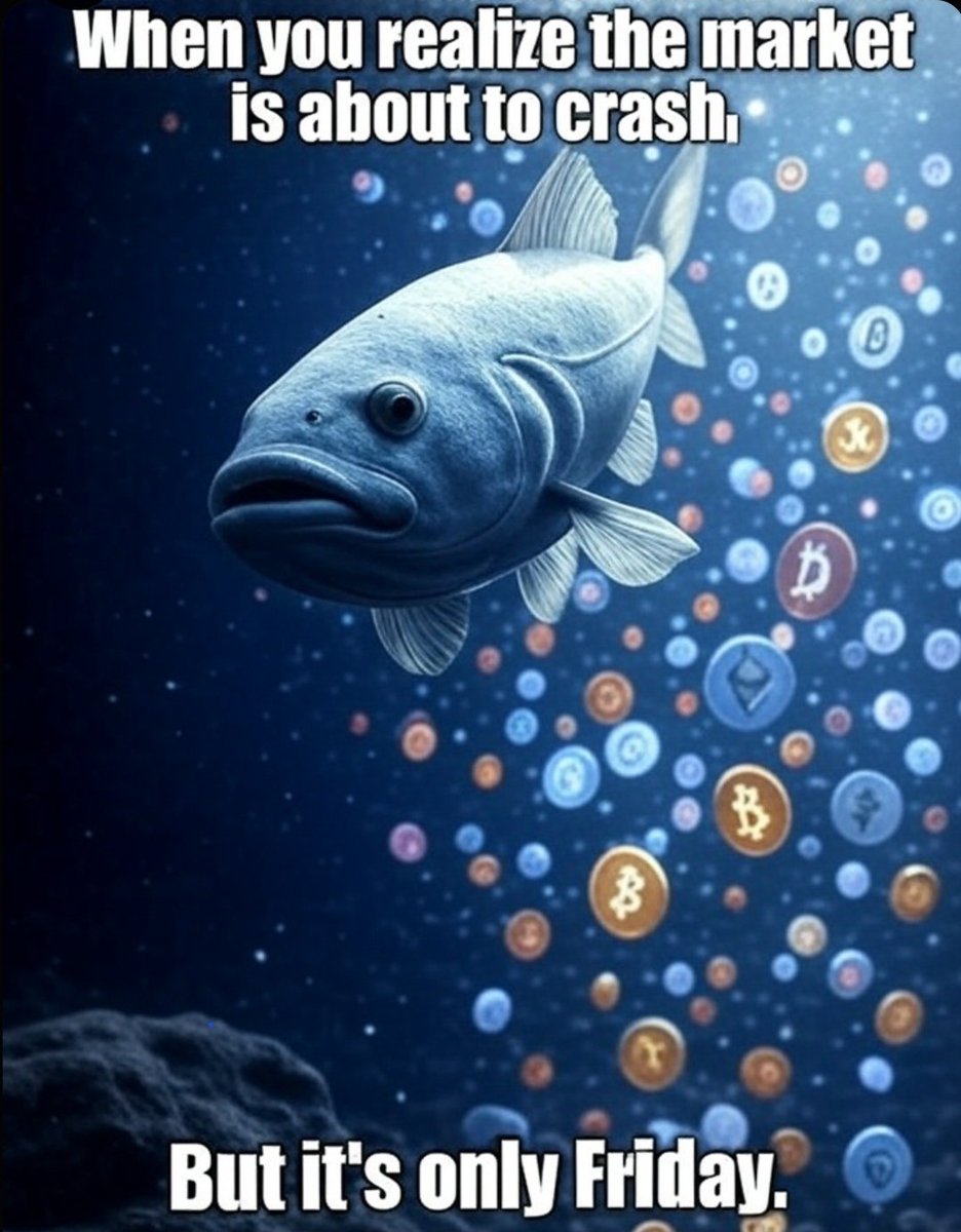 MOONCOD533141's tweet photo. $MCOD Mooncod is swimming to the moon!
When you realize it's time to HODL and ride the cosmic wave with $MCOD!
Join the lunar cod squad: JED8EeS3Mfi2B1GtsZroXRyA7Ffez2f4PrPWGFvVmoon
#Mooncod #MCOD #ToTheMoon #CryptoMemes #moonshot #HODLStrong
#memecoin
#investnow https://t.co/5gU1Nd4zab